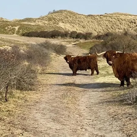 Bundi Casa de Férias