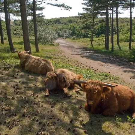 Bundi بيت للعطل *